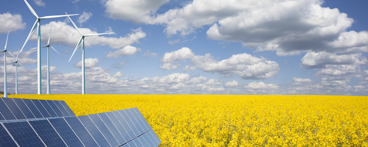 Policy, Markets and Momentum